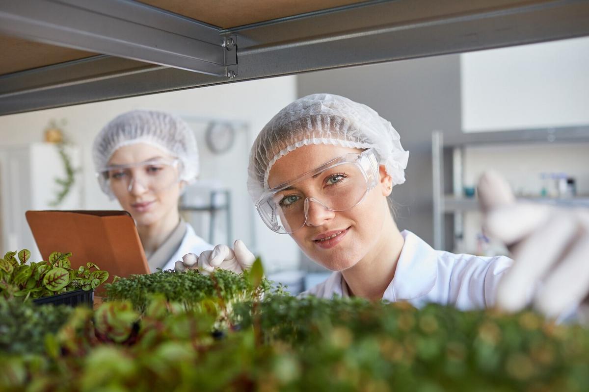 The Future of Food: Trends and Innovations in the Nutrition Industry